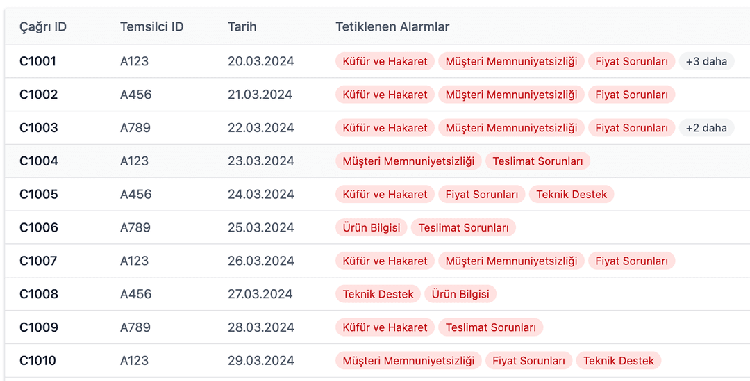 Çağrı Transkripti